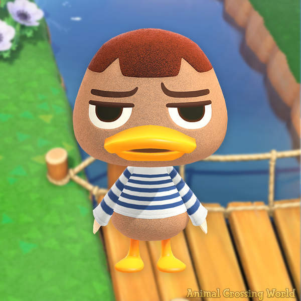 ACWorldBlog's tweet photo. Happy Birthday to Weber! 🎉🦆 https://t.co/EMUC55CEgl