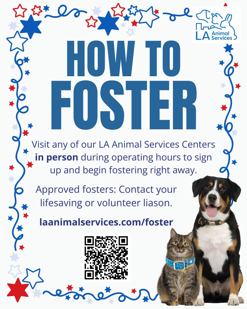 LACityPets's tweet photo. With the 4th of July days away, LA Animal Services urgently needs the community's help fostering pets. This week (Tuesday-Thursday), our six Centers are open from 8AM-5PM. We will be closed Friday, July 3 in observance of the City-observed holiday. #LACityPets #Foster #4thofJuly https://t.co/l1BvPGfZbB