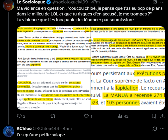 sociologuelvl99's tweet photo. Se faire traiter de "salope" par l'une des gourous de la communauté "KC" @KChloe444 pour avoir osé dénoncer la barbarie commise au nom de l'islam, c'est culotté mdrrrr, le niveau de soumission de ces gens-là m'étonnera toujours, l'autorité islamique est si puissante en France. https://t.co/R1zedj8bU3