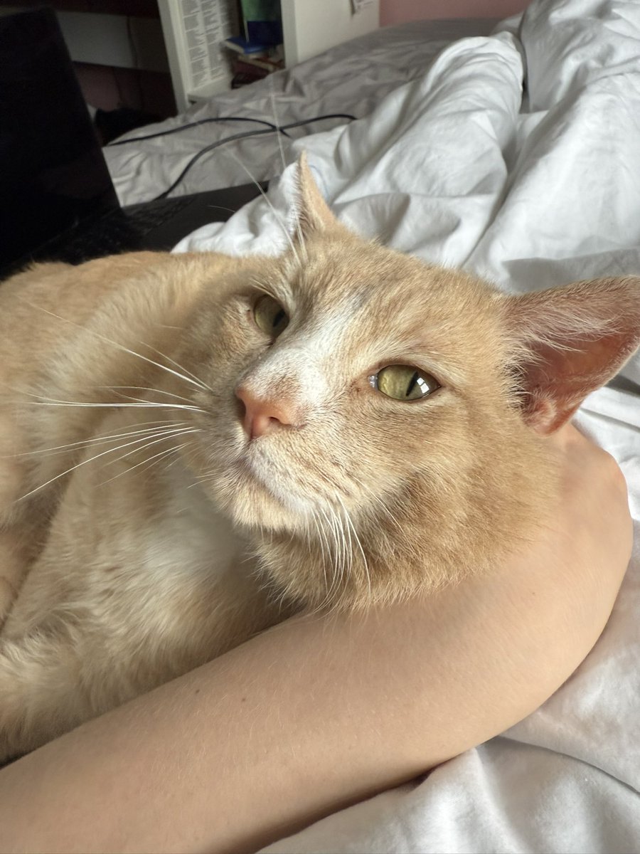 flluorescents's tweet photo. wilson and i are at the height of relaxation together https://t.co/i7UjpPCVXI