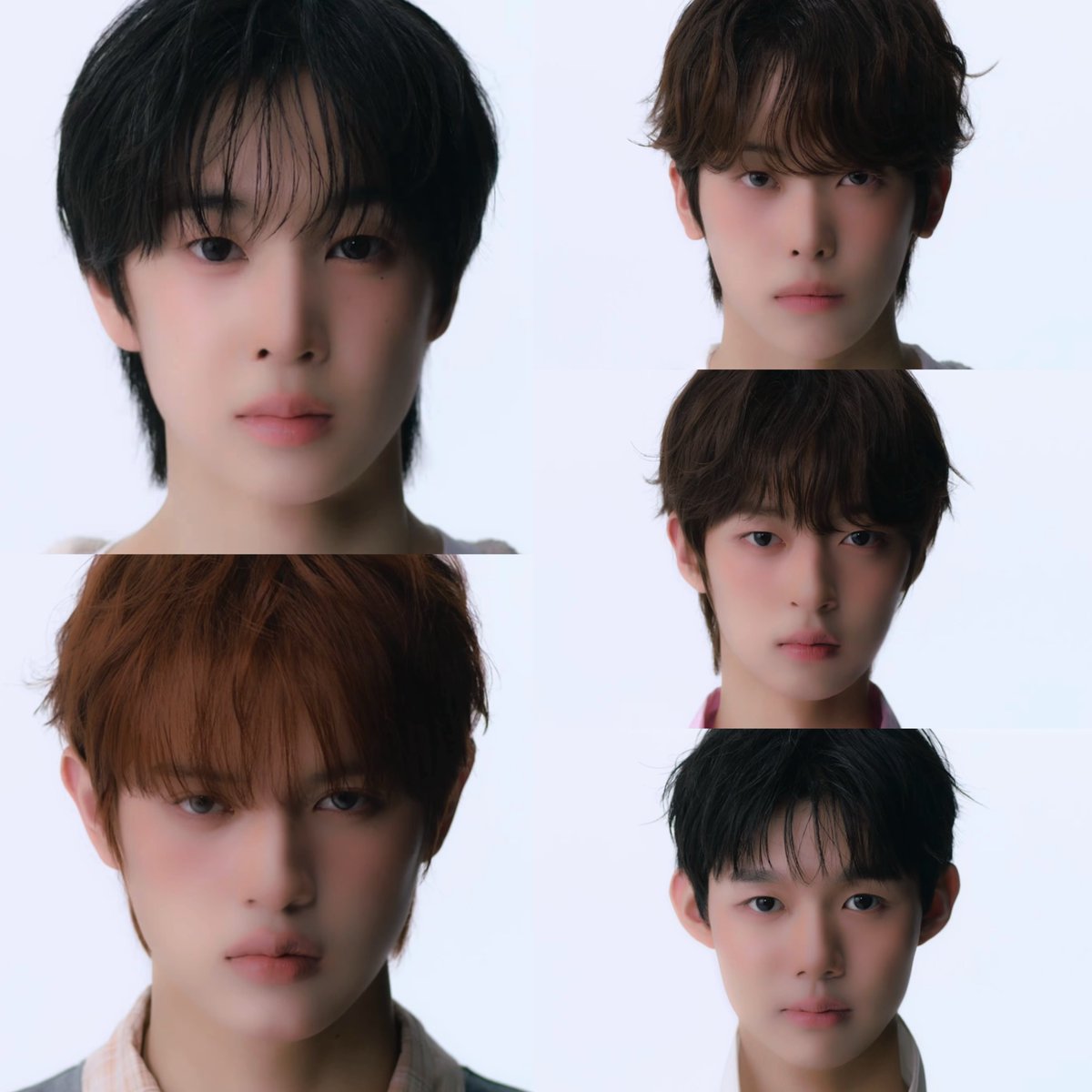 2cmmm2's tweet photo. id 17 곽기웅
id 18 이주헌 
id 19 양경호
id 20 조은찬
id 21 김은성

#idntt #아이덴티티
#itsnotover https://t.co/FVaGelX9Bt