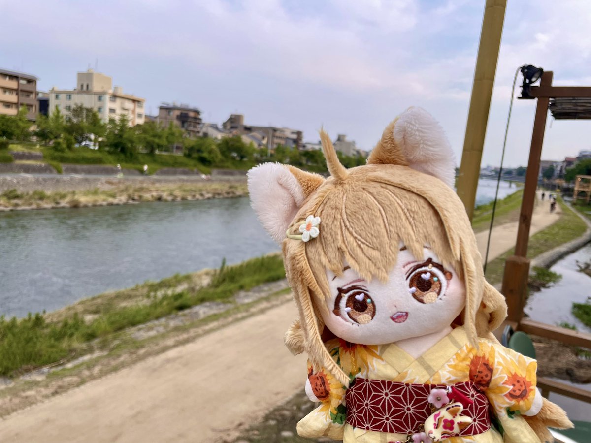 konohanatei tweet picture