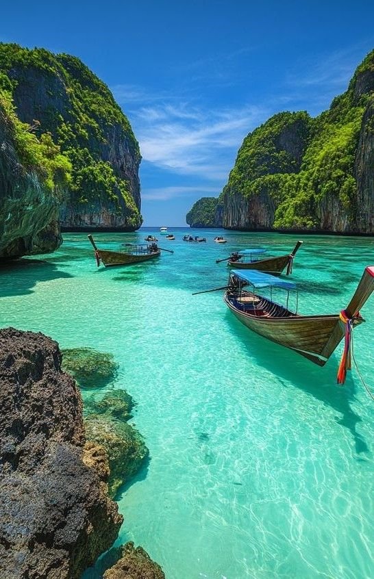 ekomiamiblog's tweet photo. pov: you're visiting Thailand and you saw these: https://t.co/cG6qWXpVK5