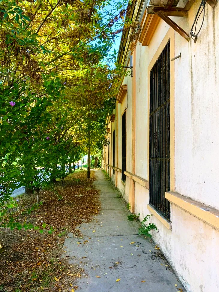 Raickan15's tweet photo. #photography #street #streetphotography #autumn #fall
General Rivas
#Suipacha
#BuenosAires 🇦🇷 https://t.co/kyL2ZtMffu
