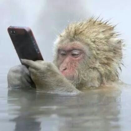 CHINEDUM tweet media