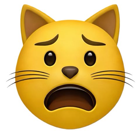 esotericizing's tweet photo. @neverpassed no rick ￼ https://t.co/DYXtua58YK