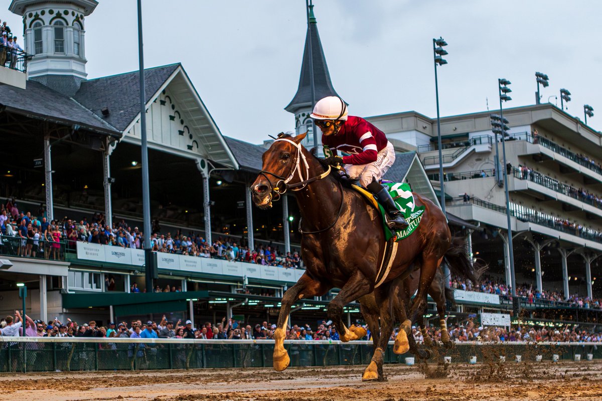 Equibase's tweet photo. MAGNITUDE earned a 116 Equibase Speed Figure for his 1 1/4 length win in the G1 Stephen Foster at @ChurchillDowns for trainer Steve Asmussen's third career win in the race!

The 4yo Not This Time colt went gate-to-wire, covering 9 furlongs on the dirt in 1:48.03 under @jose93_ortiz, just 0.77 seconds off the track record!

The Stephen Foster was Magnitude's 4th straight graded/group victory... with wins in the G2 Clark, G3 Razorback, G1 Dubai World Cup and the G1 Stephen Foster.

Now with $9,782,365 in career earnings, Magnitude is ranked 18th ALL-TIME among horses with at least one start in North America!

Check out his horse profile on Equibase:
https://t.co/HYAHJNPXAR

📸Eclipse Sportswire