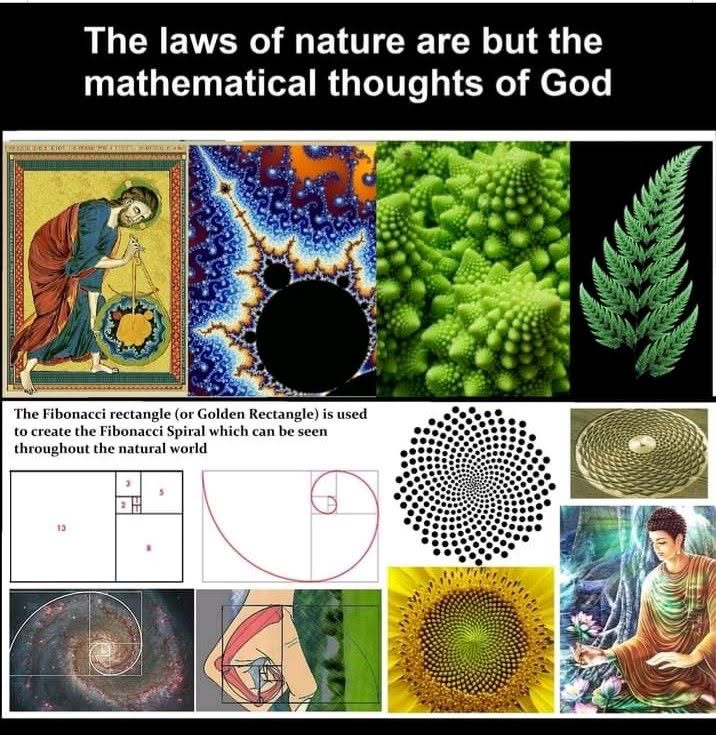 chelyatypical's tweet photo. Life has no inherent meaning. That's why we're free to create our own. https://t.co/U1gRKiFHNS
