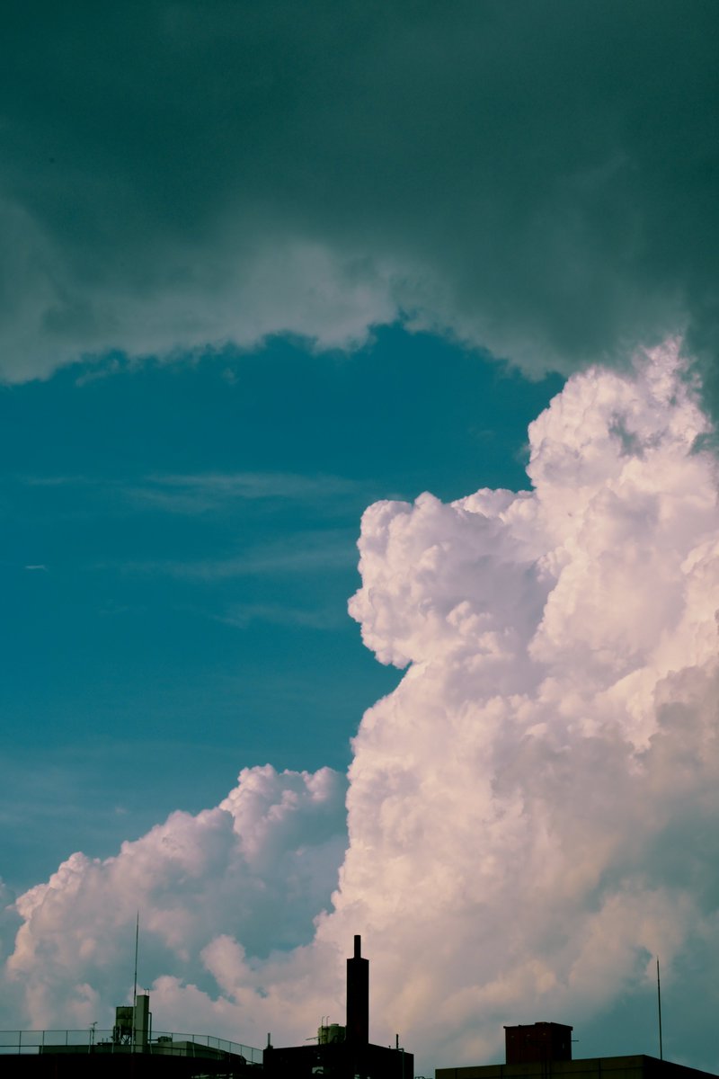 Tele_Air_'s tweet photo. 梅雨と紫陽花、初夏と台風

#6月を写真4枚で振り返る https://t.co/Mlmythv0GM