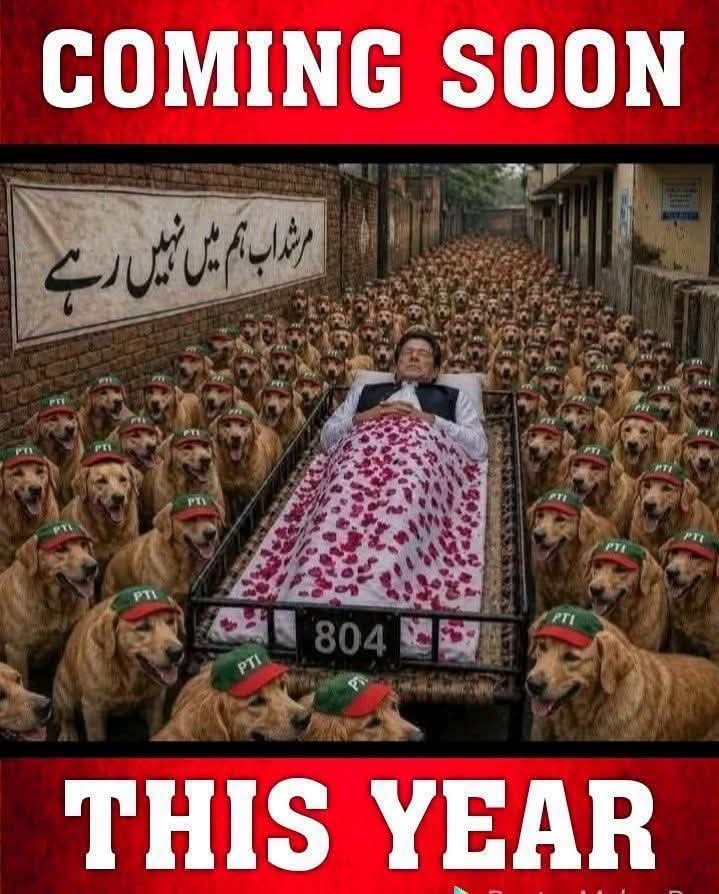 cHanDaal_'s tweet photo. 🐕🐕🐕🐕🐕 https://t.co/bXpjNcgUYR