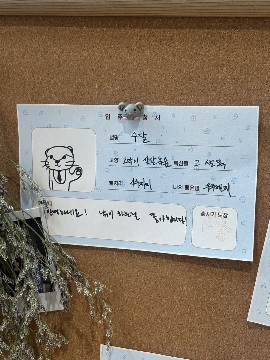 capsubeen's tweet photo. 유리의 숲 두 번째 입주민 소수빈이다 /// 🦦 https://t.co/Ja3pl0TkNB
