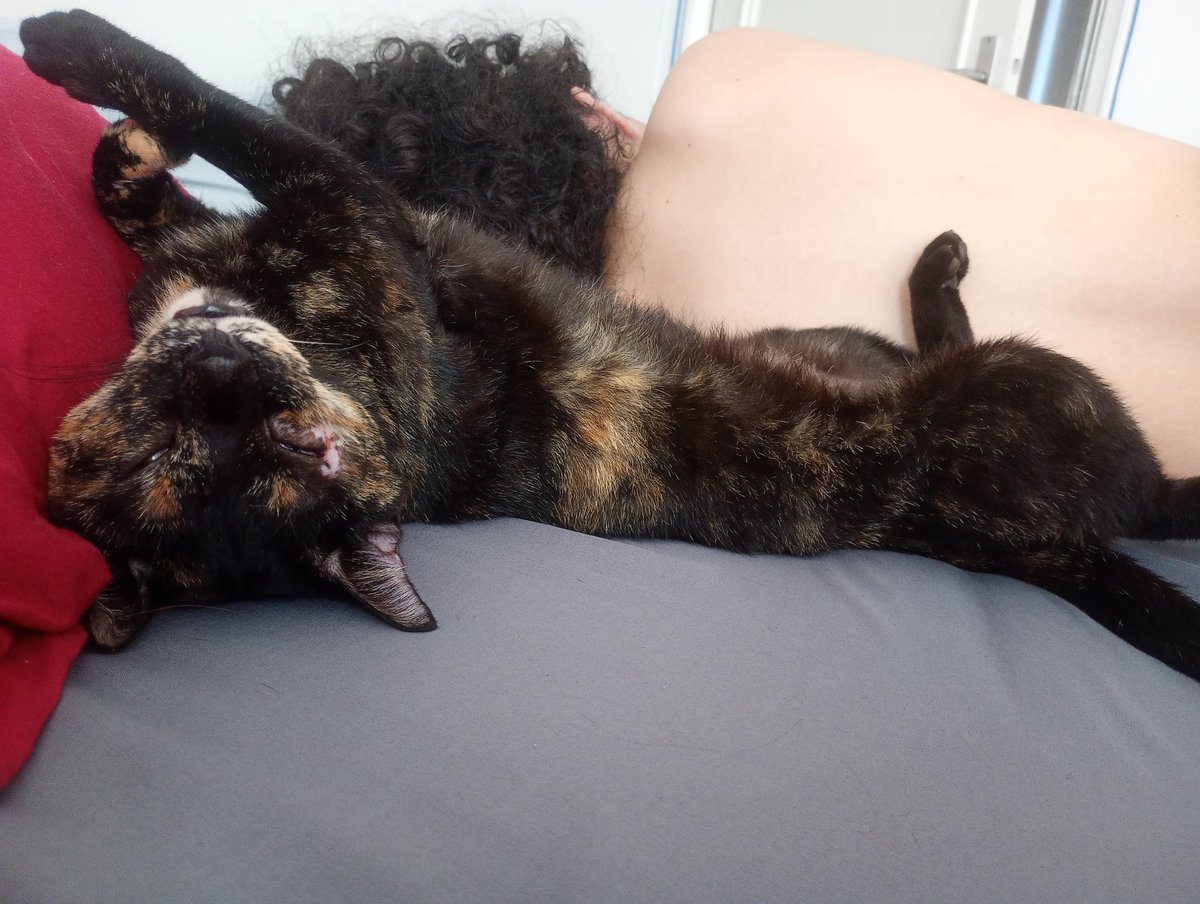 Apyrdasilva's tweet photo. Tomei um susto hoje qnd acordei q virei pro lado e tava essa esquisita dormindo assim https://t.co/0rD6lWkd90