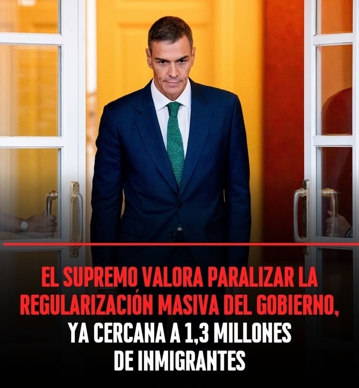 DaniWolv's tweet photo. Es perfecto los que ya hayan presentado papeles los podremos deportar a todos a sus países de origen. https://t.co/5n5r0MGbCH