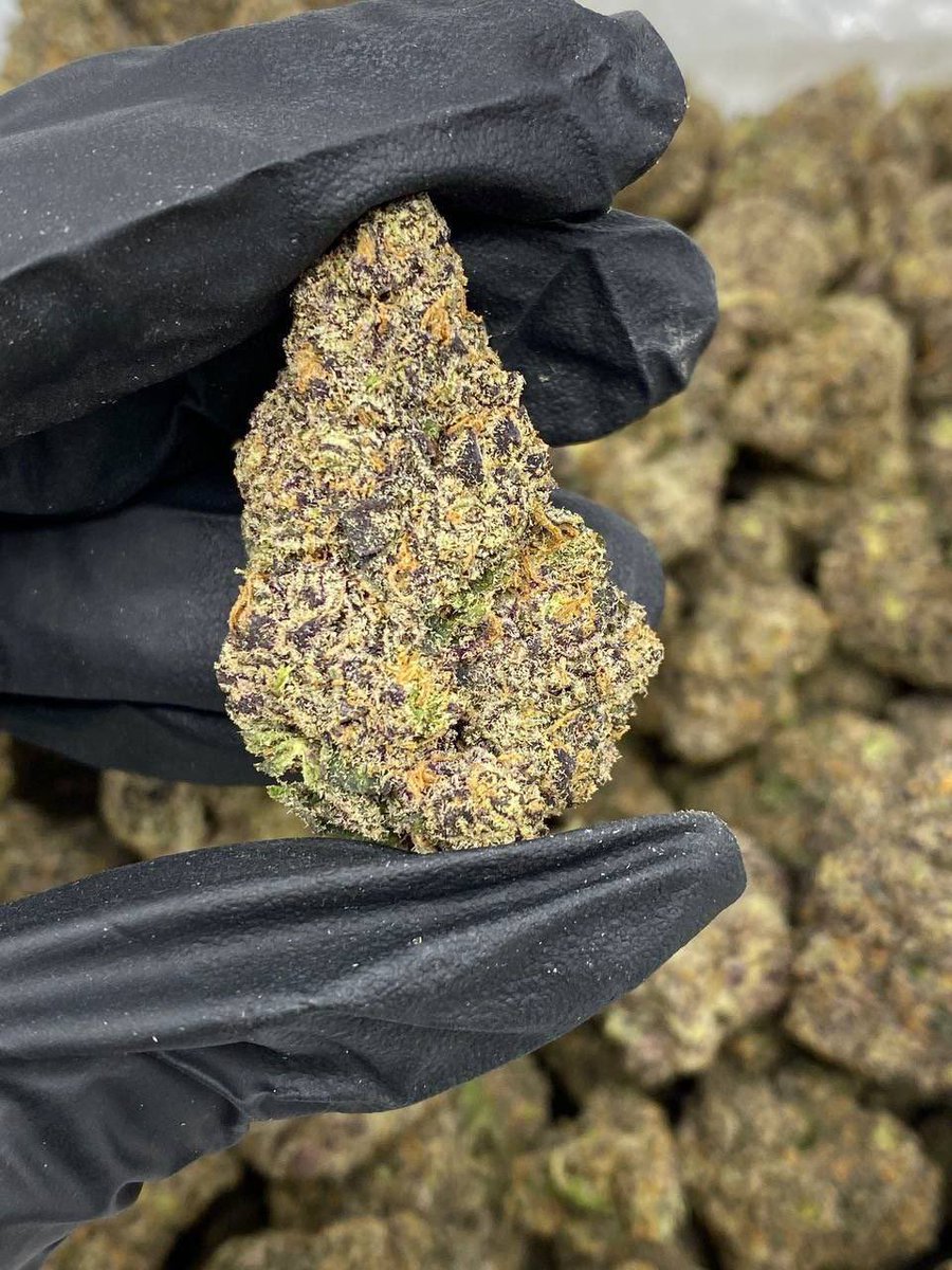 sinctyseeds's tweet photo. Lemon cherry gelato 🍧🔥🔥 https://t.co/9ZdAjdbCdP