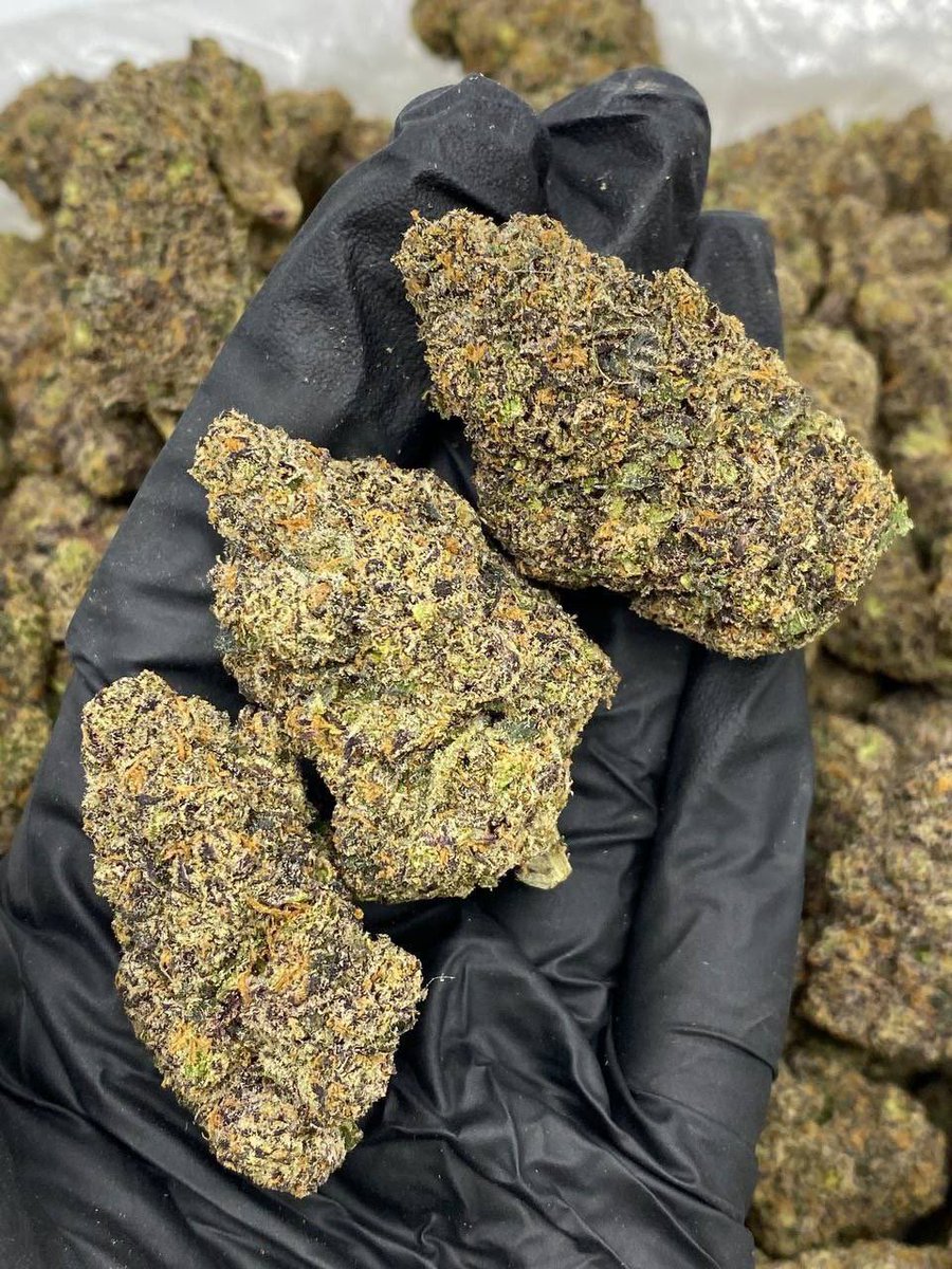 sinctyseeds's tweet photo. Lemon cherry gelato 🍧🔥🔥 https://t.co/9ZdAjdbCdP