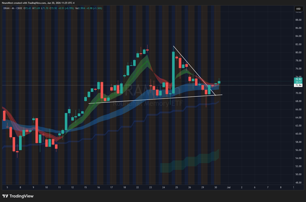 levelupnow98's tweet photo. $DRAM 7/31 $80 calls 🧐 https://t.co/ywMo3vv0hO