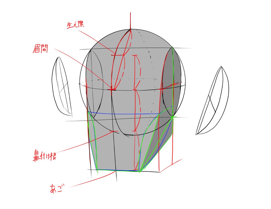 marumottii's tweet photo. 骸骨も描きつつ顔の描き方を学んでいくわよ https://t.co/qnSNdsOTf6