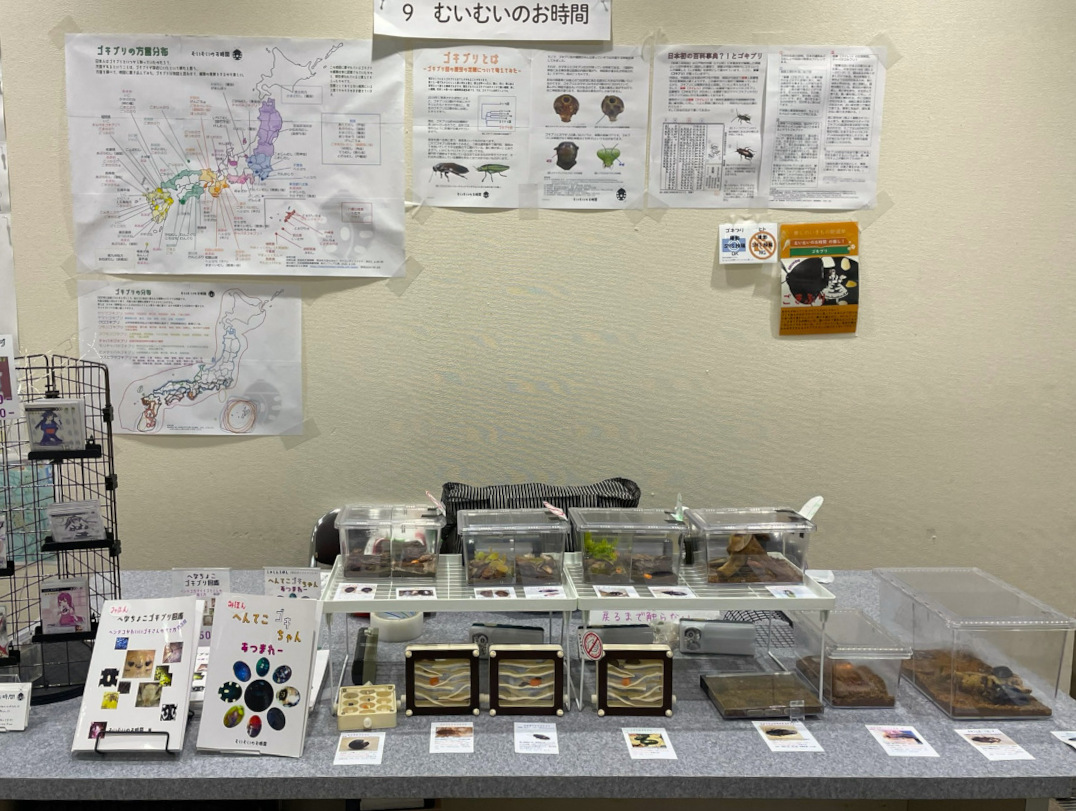 muimuitime's tweet photo. 博物ふぇすてぃばる（東京ビッグサイト南１ホール）7月19日に出展します！！方言調査と方言分布地図と身近なゴキブリを含む生体展示とゴキブリ俗信グッズ販売を行うので興味のある方は来てね。今回はおさわりもOKです。
以下より方言調査にもご協力をよろしくお願いします。
https://t.co/CB2SrzoZwb https://t.co/FfmoaUIUhc