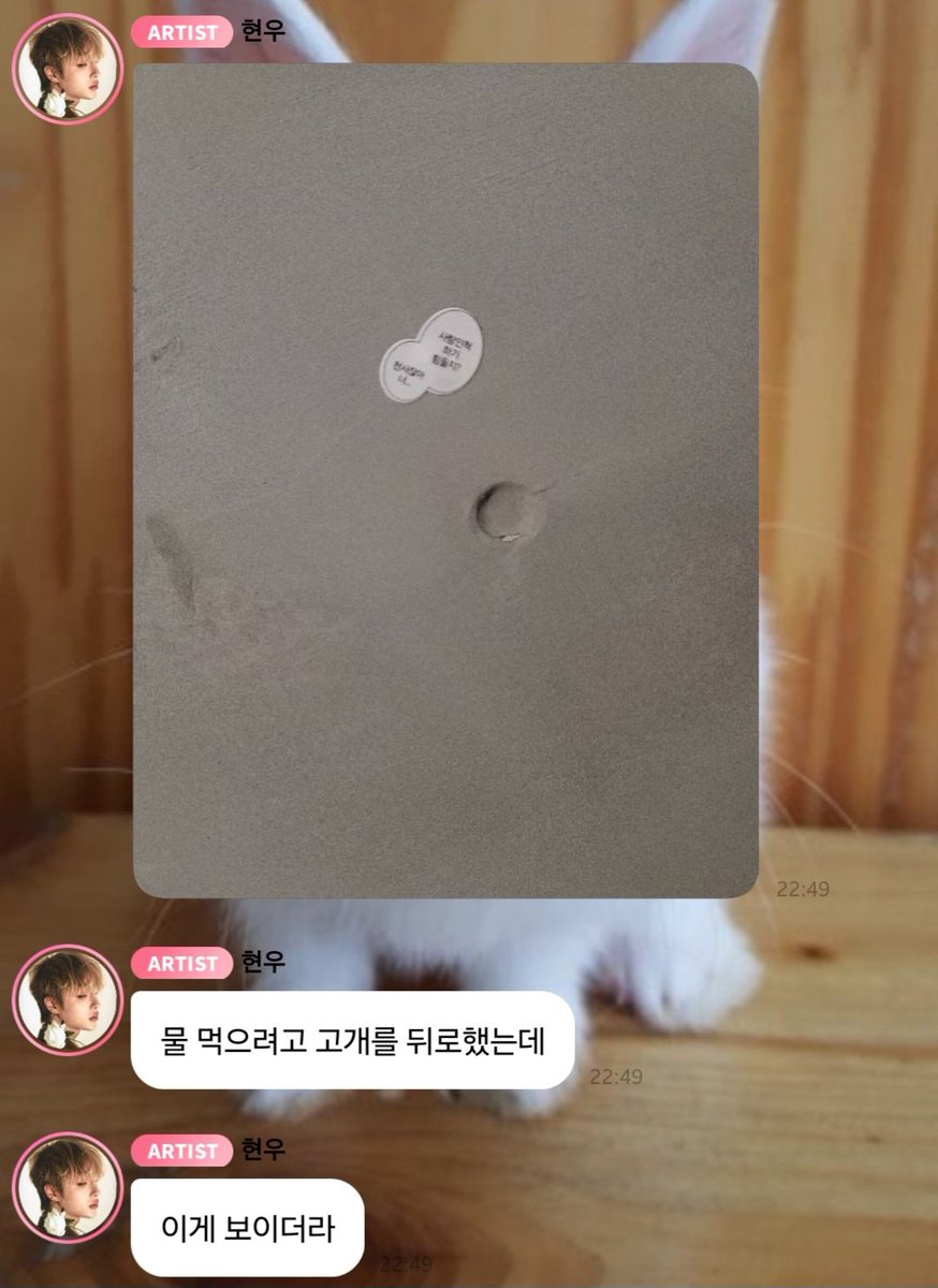12fisha14's tweet photo. #버블과_함께한_우리들의_추억 

사람인척 하기 힘들지 
천사잖아 너...👼 https://t.co/tv7zIHeRmR