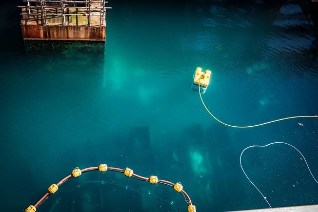 SellafieldLtd's tweet photo. Turning legacy into progress

Our latest First Generation Magnox Storage Pond case study shows how we’re tackling one of our most complex clean-up challenges — reducing risk and preparing for the future.

🔹 Fuel & waste removal
🔹 Sludge retrieval
🔹 Advanced tech

More this week 👀 #ThrowbackThursday #FutureFriday

👉 Read more: https://t.co/ibQ8oj6I4m

#Sellafield #Decommissioning #Nuclear #innovation