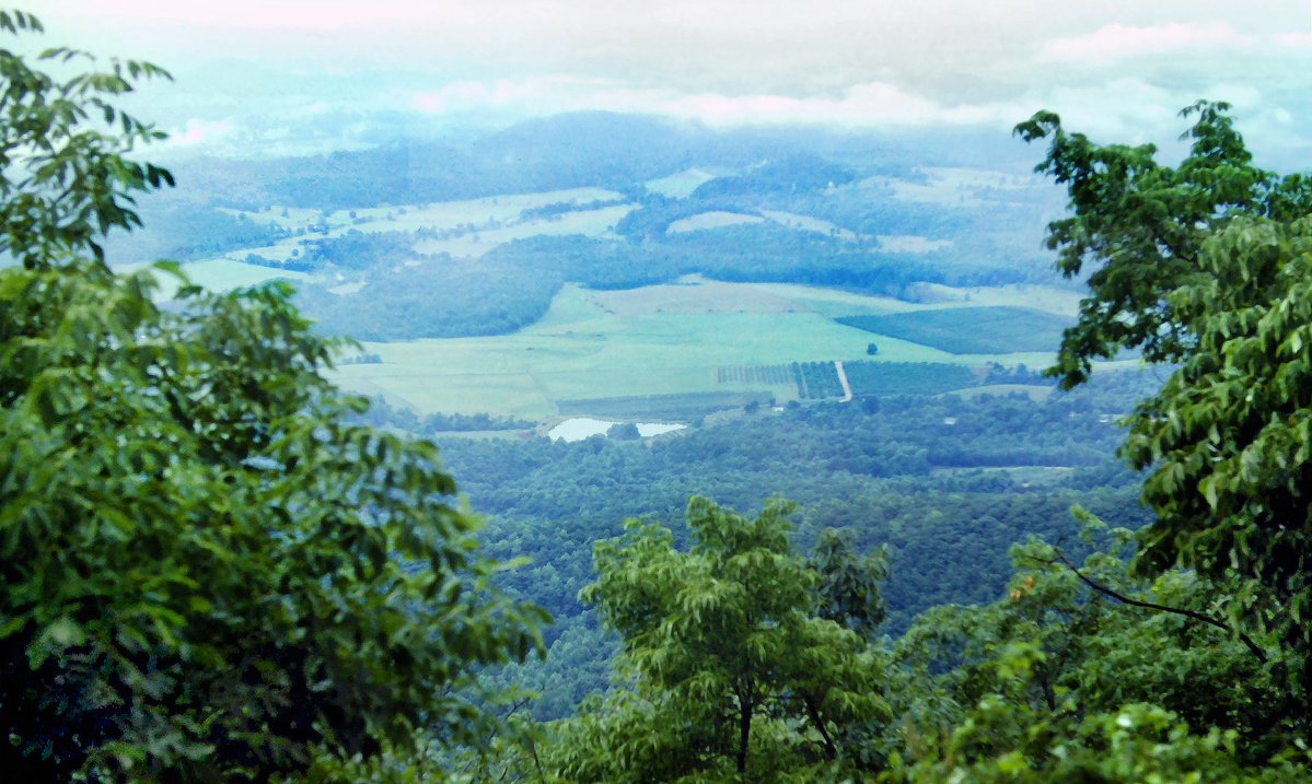 GSteffanos's tweet photo. June 30, 1983, 43 years ago today: In the Virginia Blue Ridge, high atop a shoulder of a mountain called The Priest, not far from the 4063-foot summit, a spur ridge makes a perpendicular intersection with the main crest.
#backpacking #hiking #outdoor #mountains #AppalachianTrail https://t.co/CNchgOc7gR