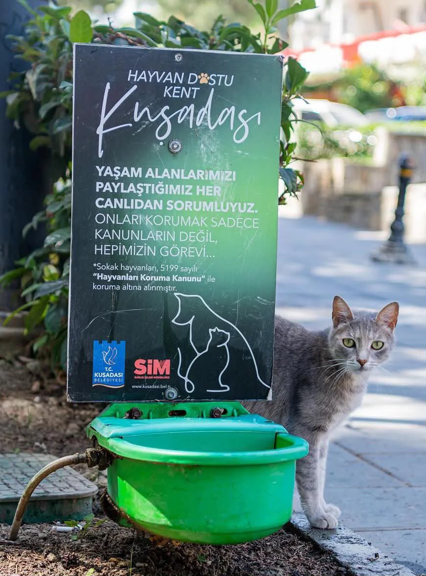 omergunel's tweet photo. Kuşadası’nın sokaklarını paylaştığımız can dostlarımız benim için her zaman çok kıymetli oldu.

Bu yüzden göreve geldiğimizde, yaz aylarında artan sıcakları düşünerek kentimizin farklı noktalarına can dostlarımızın temiz suya kolayca ulaşabilmesi için sumatikler yerleştirdik.

Can dostlarımızın yaşamını kolaylaştırmak hepimizin elinde. 💙