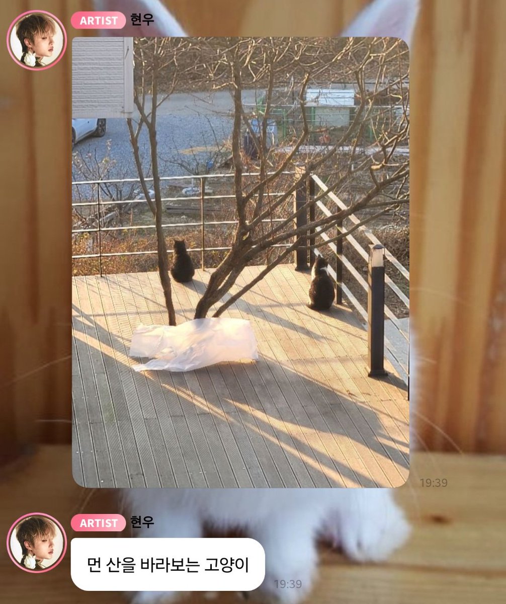 12fisha14's tweet photo. #버블과_함께한_우리들의_추억 https://t.co/rAt0WyTD6B