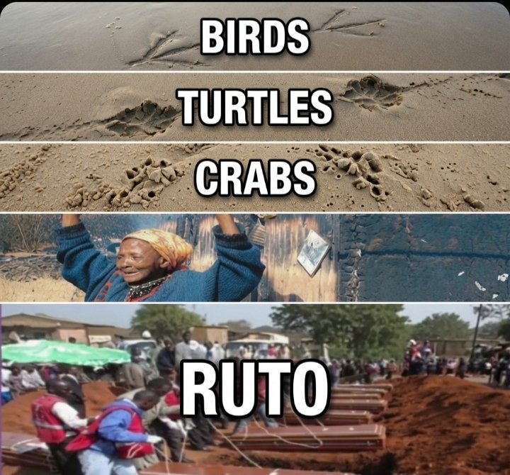 leemorio's tweet photo. Every creature leaves a mark. Ruto leaves a mess https://t.co/4c2GttUMRC