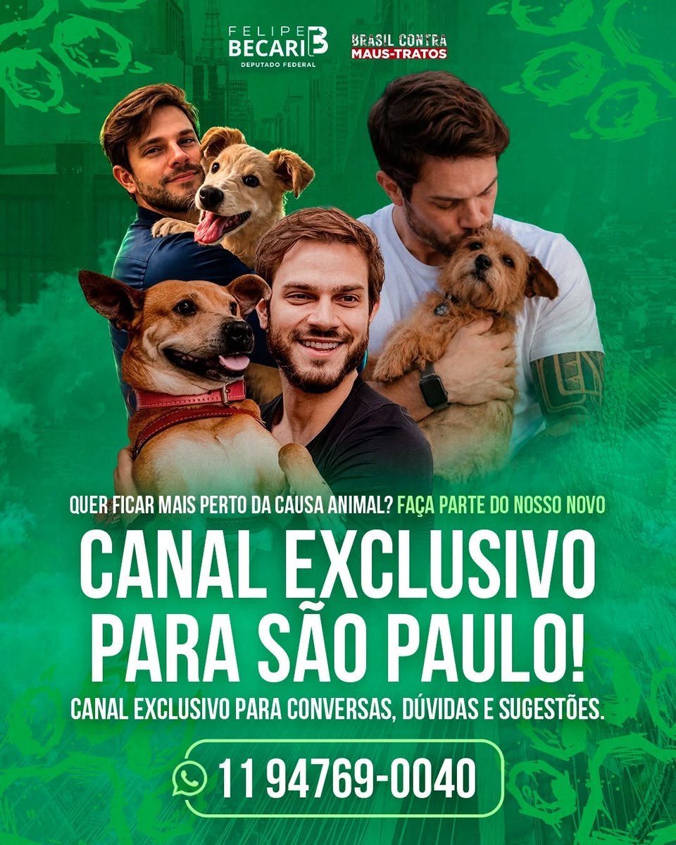 Felipe Becari tweet media