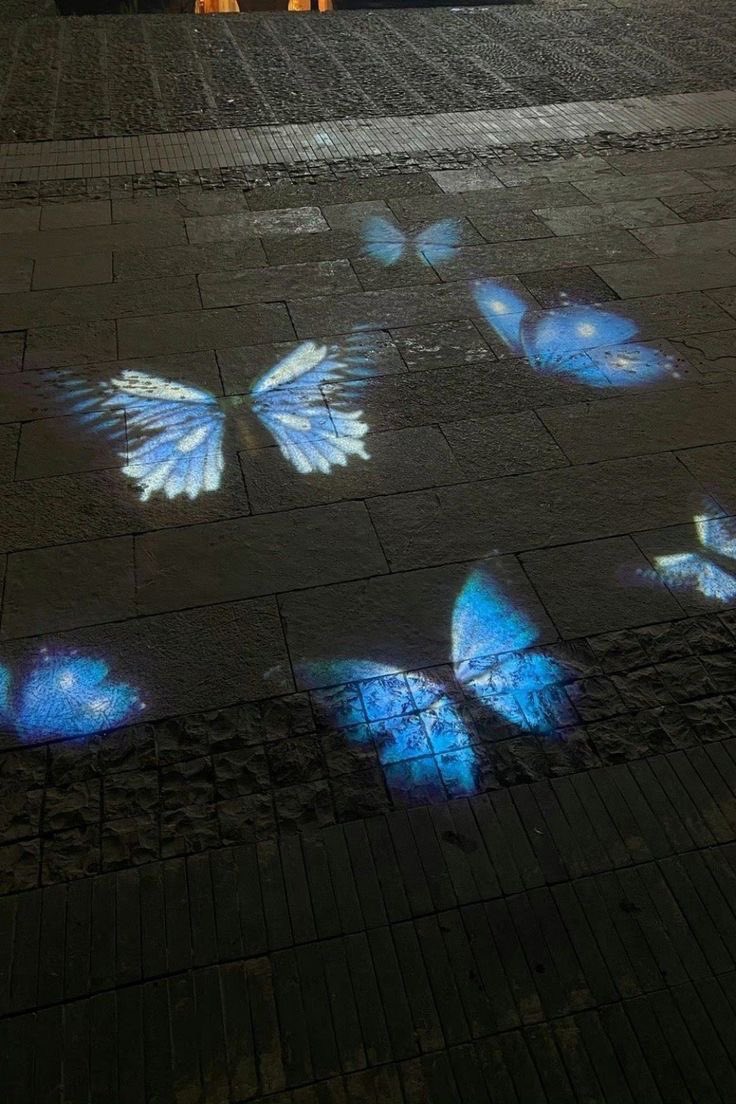 _Naturaee's tweet photo. so beautiful 🦋🦋🦋 https://t.co/h2aSdyQnWV