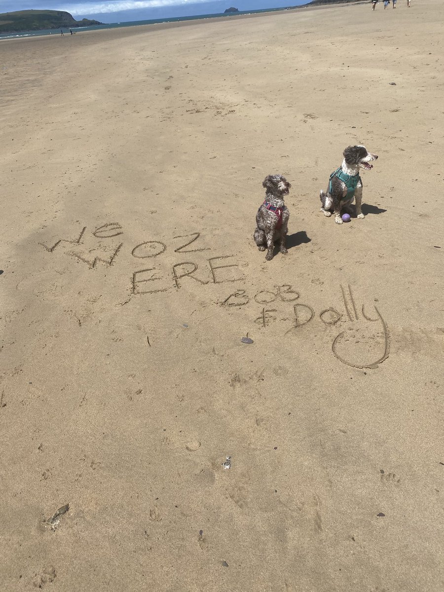 bemorebob2 tweet picture