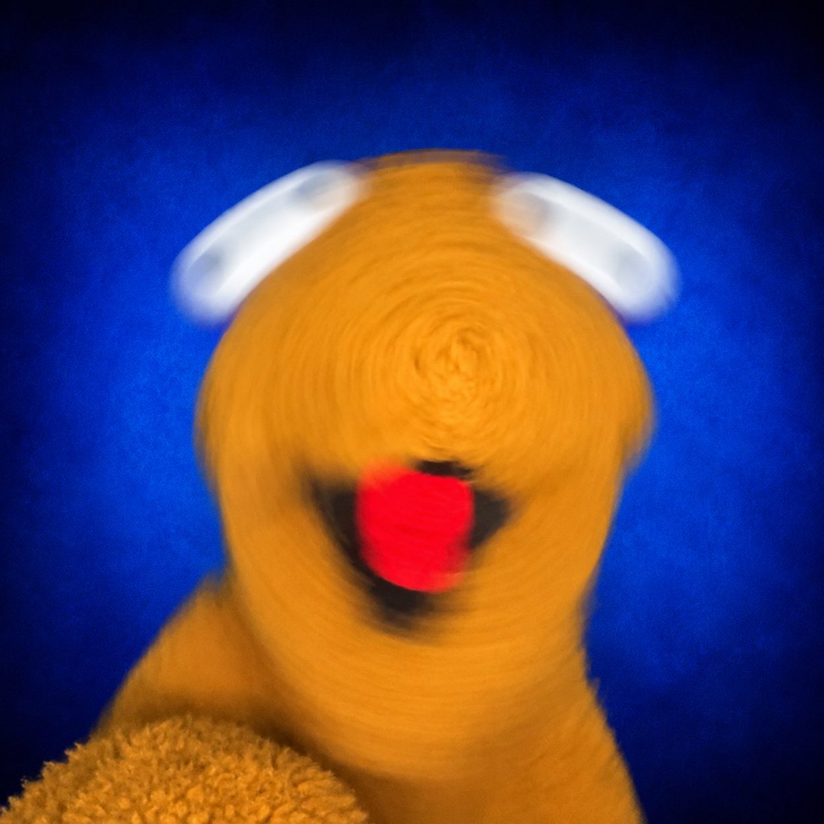 Fluffy282828's tweet photo. Instagramのリールを見た人達へ
これでなんのポストかわかるだろ？ https://t.co/PEYPP5WLZc