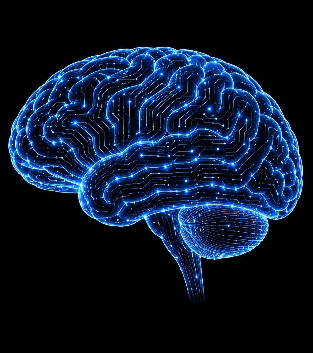 Influencer_2_0's tweet photo. Use your brain https://t.co/UoS8QpJKpK