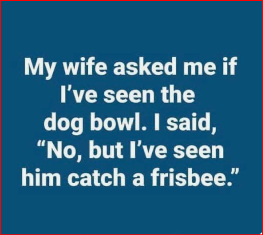 thompsonterr's tweet photo. 🤣 https://t.co/Ak7WVMrqUt
