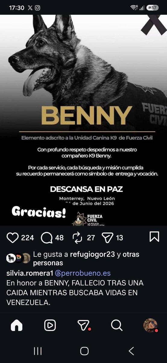 Cassandracass50's tweet photo. Dedicado a los que estais todos los dias quejándoos de los perros.
Honor para Benny https://t.co/ZncEPG4UwQ
