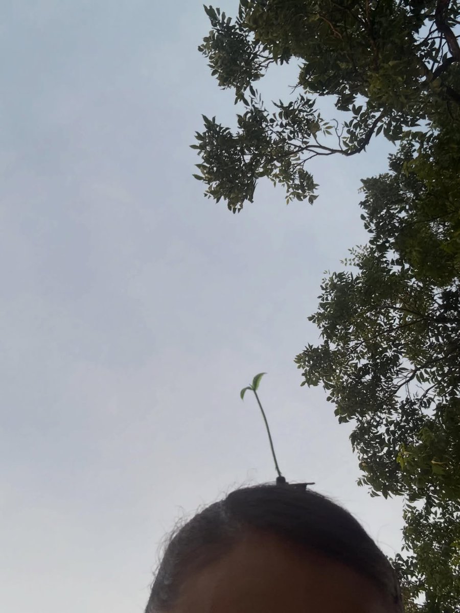 ArianaToday's tweet photo. 🌱🖤 https://t.co/PgpZPkXe35