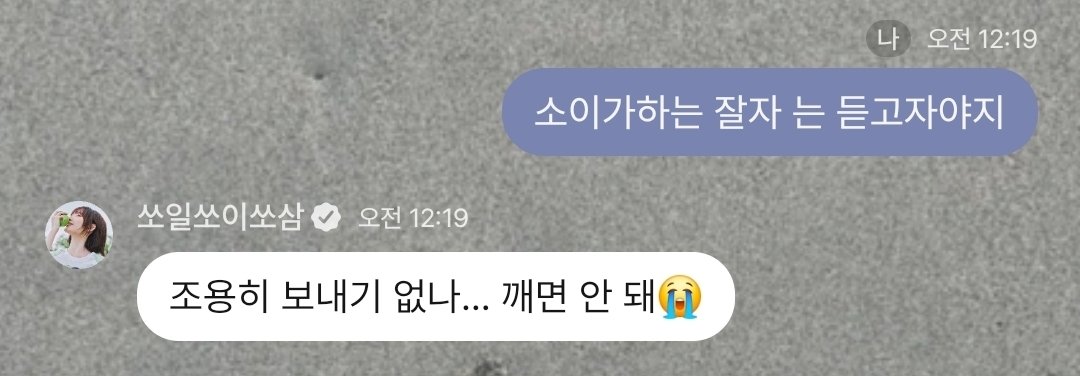 시소🦊 tweet media