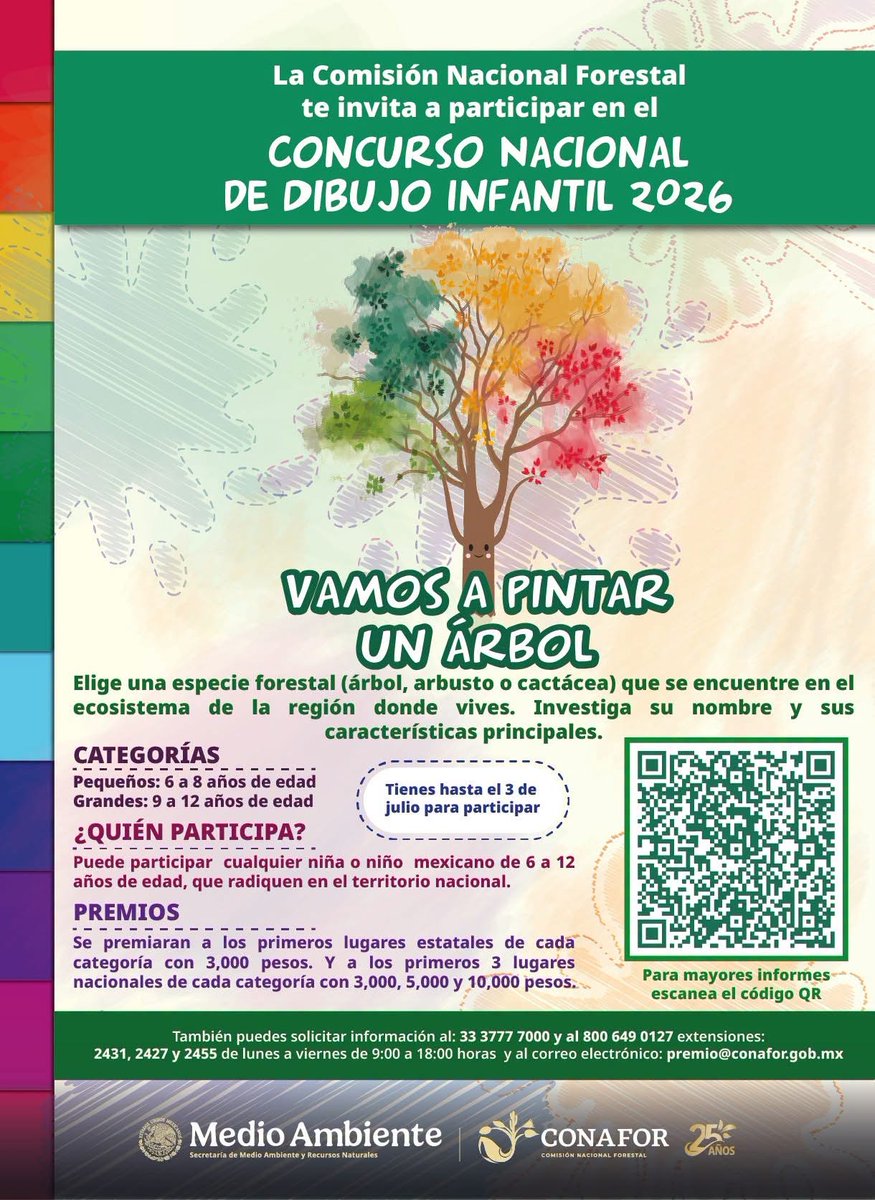 CONAFOR's tweet photo. El proyecto #GreenMex, que impulsa la CONAFOR, promueve acciones que fortalecen la inclusión y el reconocimiento de las lenguas indígenas🌳🗣️. Por ello, compartimos la convocatoria del Concurso Nacional de Dibujo Infantil “Vamos a pintar un árbol” en lengua tepehuano del sur🖍️. https://t.co/eVSHPS8ZcO