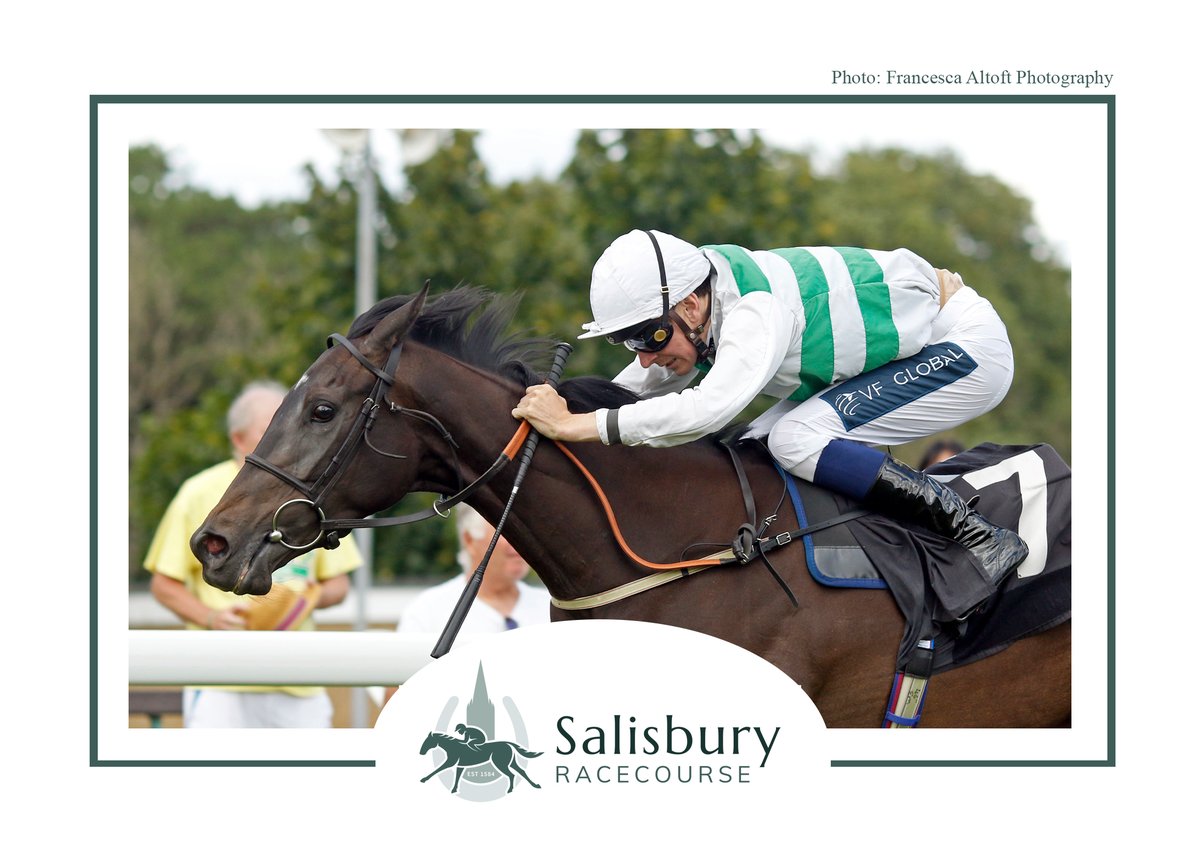 salisburyraces's tweet photo. Race 5 – The Madar Corporation @BritishEBF Maiden Stakes

🥇 Aleatrix
🥈 Storming Point
🥉 Virtue Diligence

Congratulations to winning connections Miss K Rausing, @RalphBeckett and @HectorCrouch 

📸 @Steven_Cargill for @francescajane_x https://t.co/DOYbO42Eco