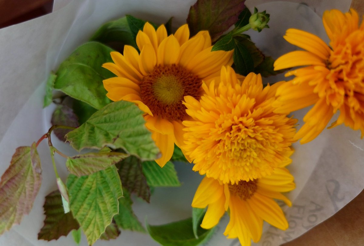 uragamomo's tweet photo. ７月になった🌻
私と推しの生誕月♋（∵）🔵
今日は泊まり勤務なのでそろそろ寝よう。 https://t.co/lfnSIDIrgZ