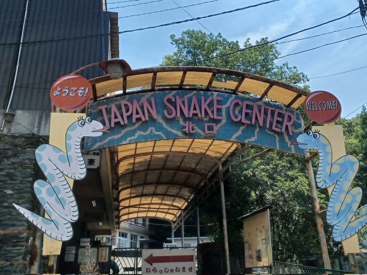 mendori084's tweet photo. ジャパンスネークセンター、観光客に媚びず、映えも求めない昭和のまま時が止まったようなガチの研究所なので、爬虫類(特にヘビ)好きは是非行ってほしい。北里柴三郎がいかにすごい人かわかる。 https://t.co/QOtFt4Eikx