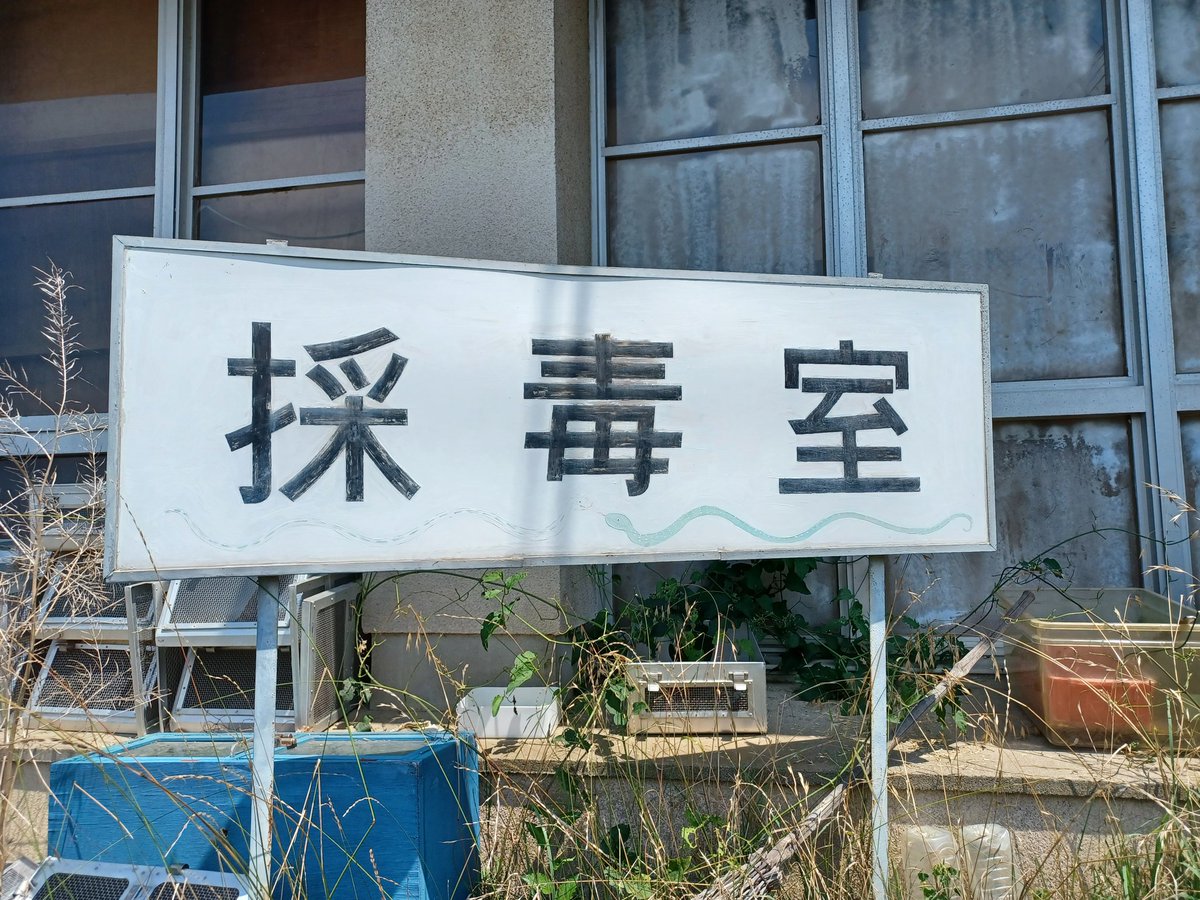 mendori084's tweet photo. ジャパンスネークセンター、観光客に媚びず、映えも求めない昭和のまま時が止まったようなガチの研究所なので、爬虫類(特にヘビ)好きは是非行ってほしい。北里柴三郎がいかにすごい人かわかる。 https://t.co/QOtFt4Eikx