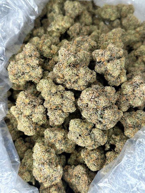 exoticsplug_ tweet picture