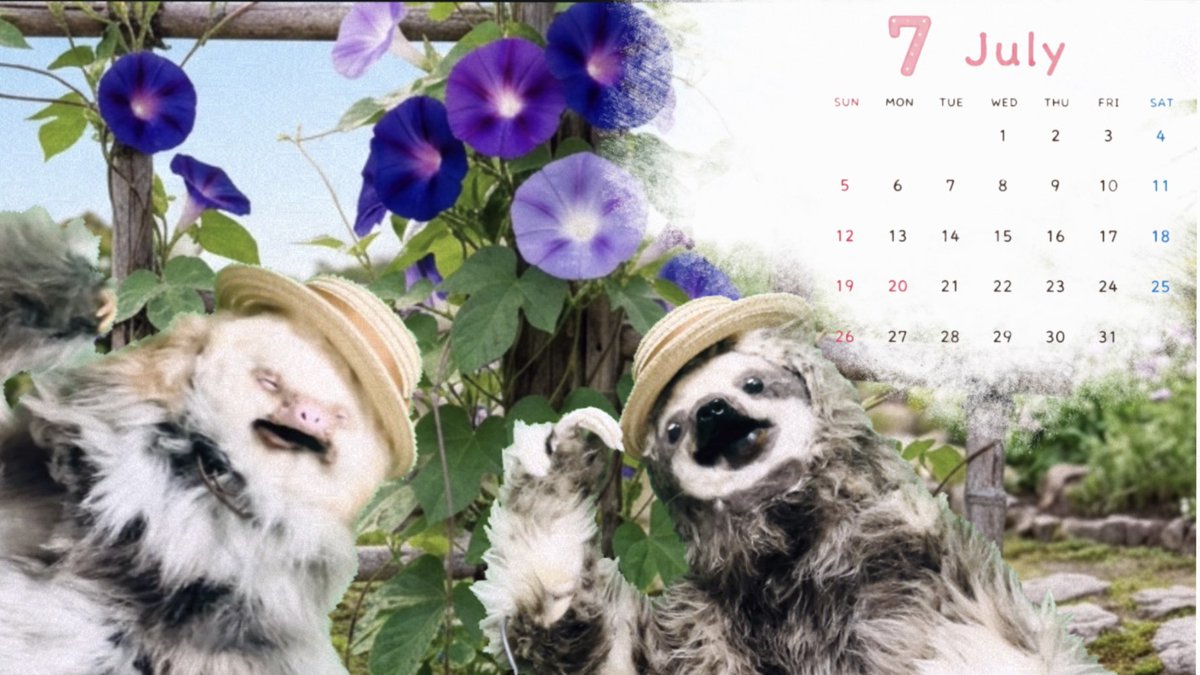 maroro_hogaraka's tweet photo. ７月になりました🦥
壁紙使ってね🌟🎋
グーグーとお揃いの帽子なんだ♪
#wallpaper #July https://t.co/6k7YIQuIaa