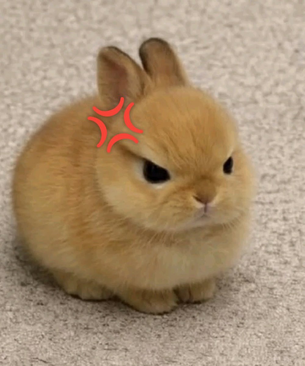 babyleeknow_'s tweet photo. https://t.co/ac8uGzzyxj