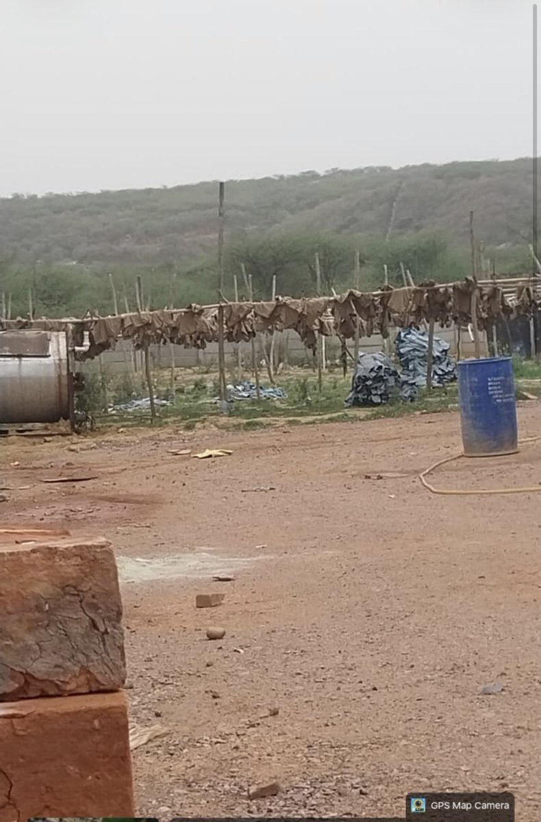 LordYamraaj's tweet photo. While the nation is fighting to protect the #Aravalli, illegal jeans #dyeing units continue to destroy it from within.

These units are allegedly operating inside the Aravalli range in #Gurgaon, extracting groundwater illegally and discharging untreated toxic effluent into the ground and on forest land, causing irreversible damage to soil, groundwater and the fragile ecosystem.

The geotagged locations of these polluting units have already been identified and will be placed before the concerned Court for appropriate action.

Saving the #Aravalli is not just about stopping mining—it’s also about stopping illegal industrial pollution.

The law must act against every polluter, regardless of influence.

@Haryana_spcb will you act against Aravali Pollution, Around 10 or more polluting Dyeing units in Aravali Range #Gurgaon

#SaveAravalli #StopPollution #Yamuna #Groundwater #Environment #EnvironmentalJustice #Haryana #PolluterPaysPrincipal
