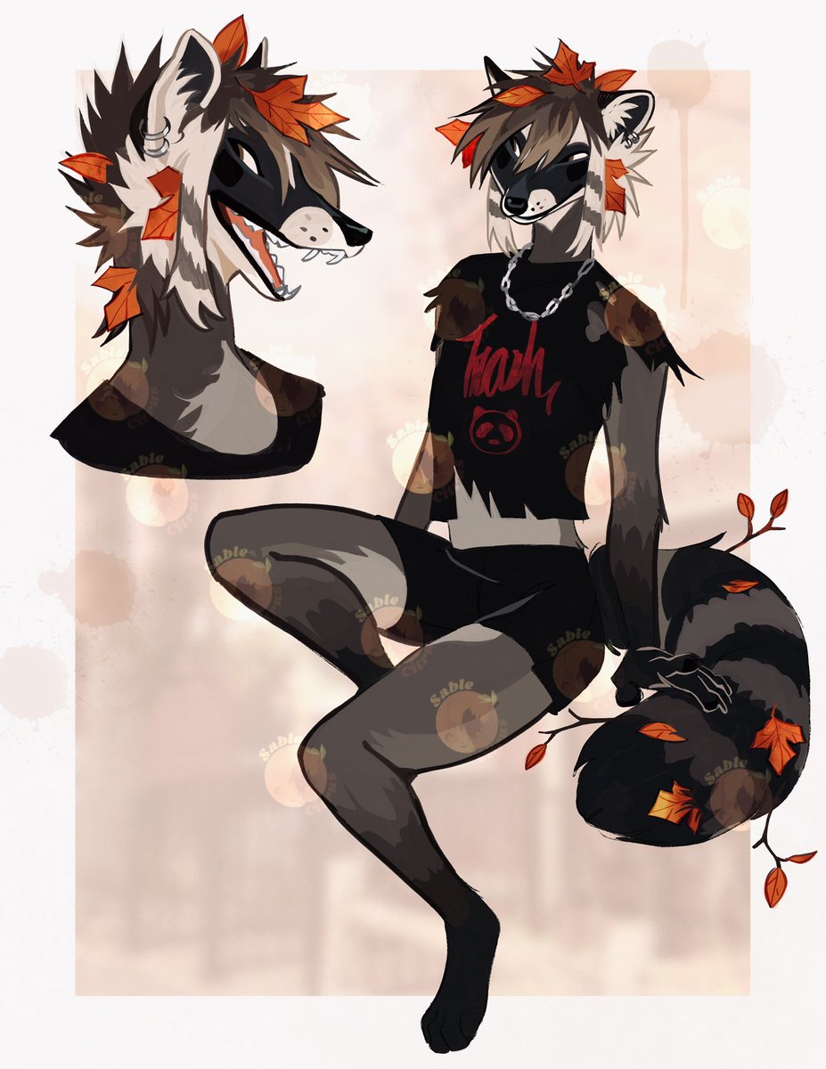sablecitrus's tweet photo. I drew a new adoptable, this one’s a raccoon! https://t.co/XKsIaFZqQv