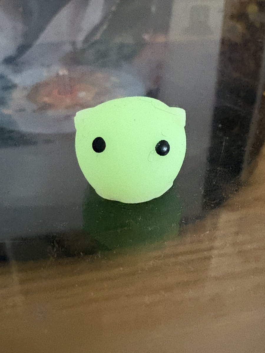 cartatfatcamp's tweet photo. i feel so maternal towards this lil guy https://t.co/wROgMbUdYC