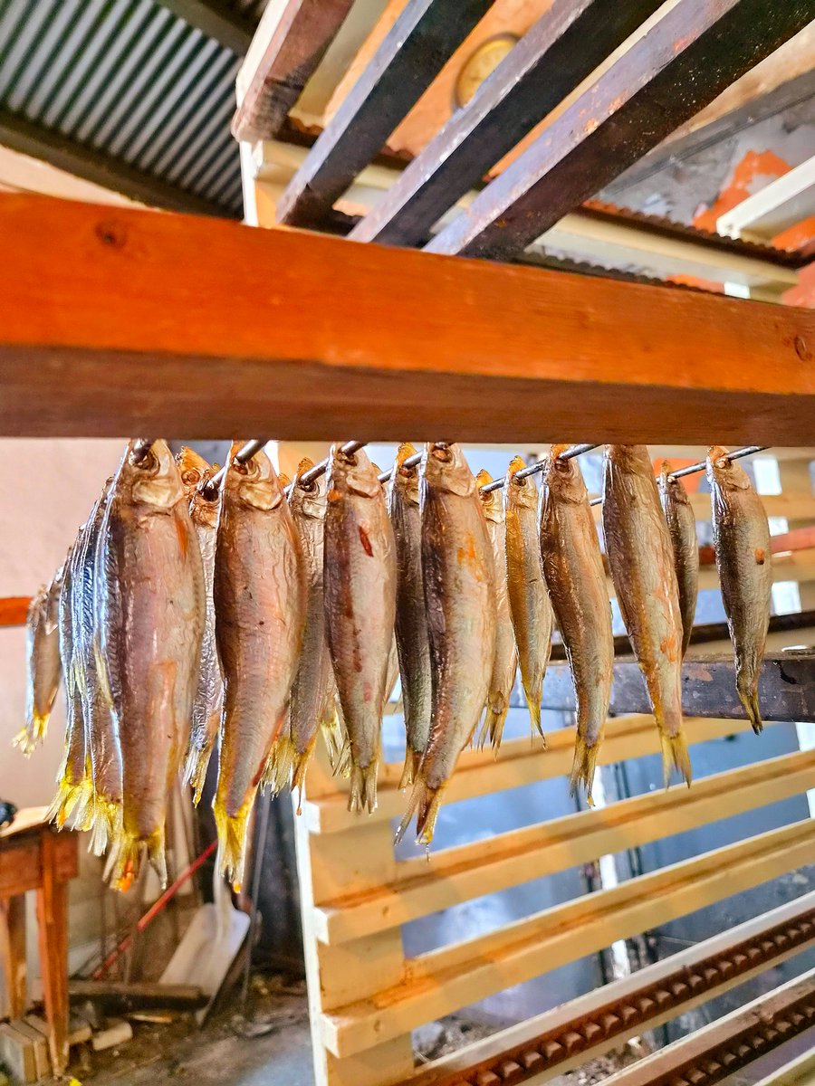 Jenanime4eva's tweet photo. @Regiane_75 @milklaine @ANGELBUFF33 @mymuseandi @AnaManning21 @sar185a @bewareofgobbi @michelleabelle @_DainBramaged A relaxing cruise in Lysefjord and a visit to the Norwegian Canning Museum in Stavanger! 😊🇳🇴 https://t.co/9DrX64Epb4