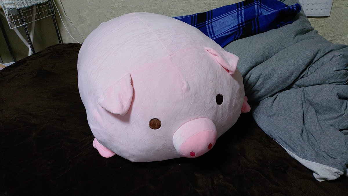 koikisawatari's tweet photo. このでっかいポムポムプリン
ウチの子よりでかいのエグい
覚悟が試される https://t.co/KWAkBmkJ2i